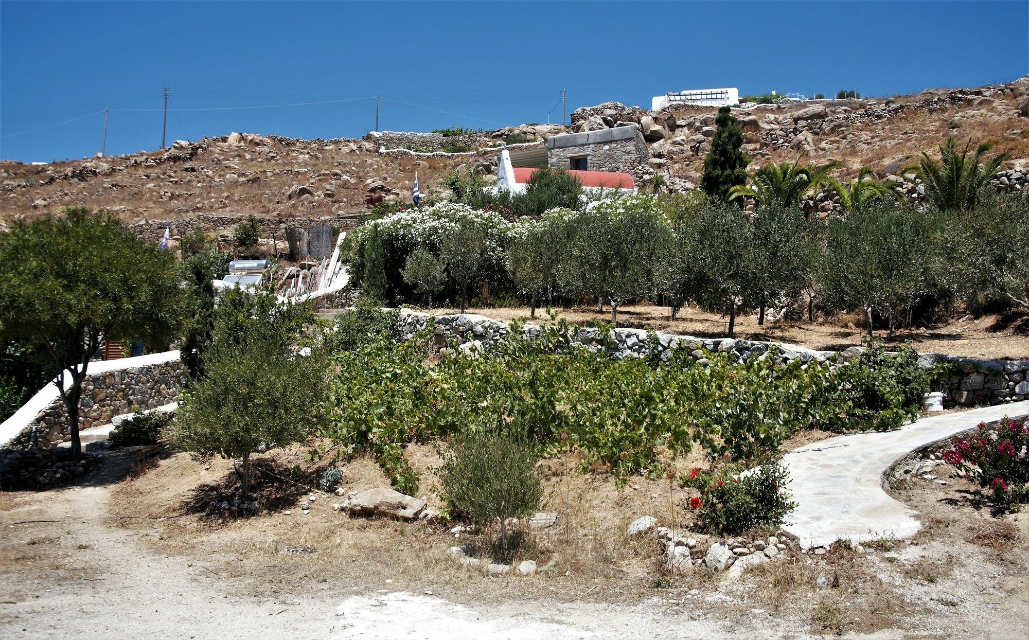 Mykonos Moussa 度假居 *